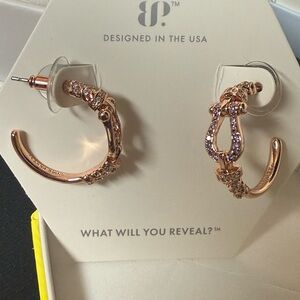 Stunning Rose Gold Hoop Earrings